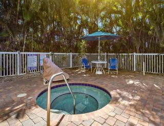 Luxury 3BR Penthouse Breathtaking Sunsets - St. Pete Beach - 5