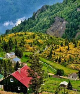 Zifin dağ evi -  - 9