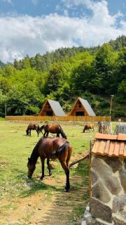 One Way Racha Hotel - 2