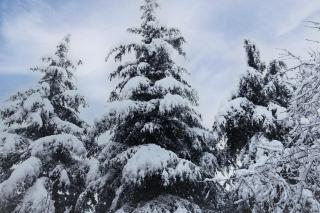 ISKANTE Lake Como - 9