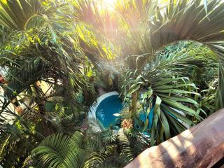 La Veleta Villa Getaway with Pool, Garden and Downtown Access - 3