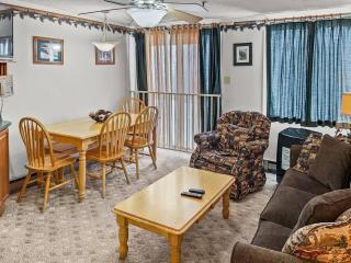 ML178 2BR 2BA Mountain View WiFi Ski In Ski Out - 6