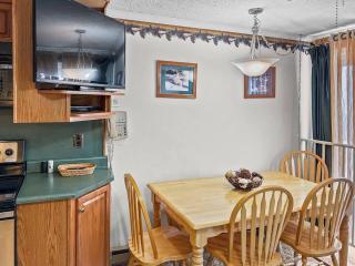 ML178 2BR 2BA Mountain View WiFi Ski In Ski Out - 2