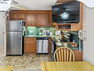 ML178 2BR 2BA Mountain View WiFi Ski In Ski Out - 5