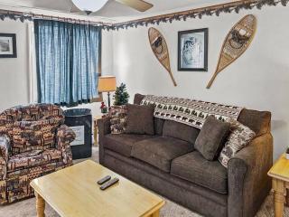 ML178 2BR 2BA Mountain View WiFi Ski In Ski Out - 0