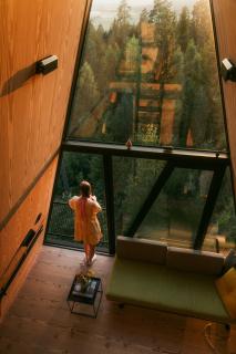 PAN Treetop Cabins - 8