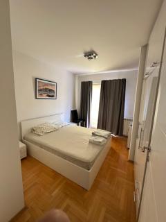 Beautiful apartment in Skopje - 3