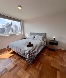 En Lastarria familiar y amplio - 3