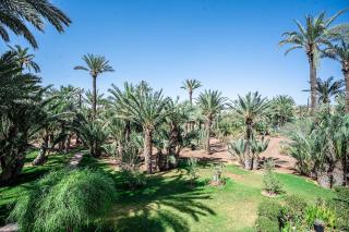 Palmeraie Tradition and Modernity - Marrakech - 3