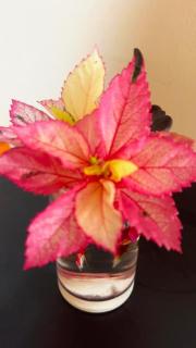 Pousada do Trinta - 5