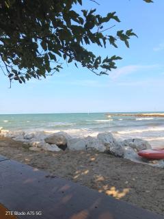 La Fenice - 4