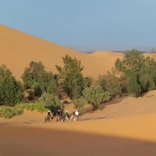 Brahim Oubira Oasis Merzouga - 2