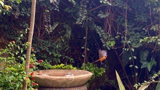 UmuTea Villa Boutique Hotel, Homely & Perfect for group stays, - 5