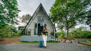 Shenaya Plantation - - 9