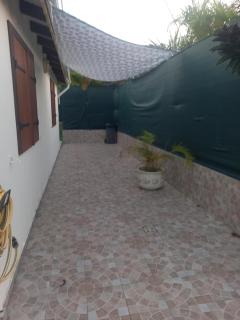 L ombre du manguier - 3