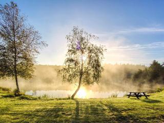 Modern Cottage Oasis in Arrild-By Traum - 2