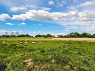 4 person holiday home in Tønder-By Traum - 2