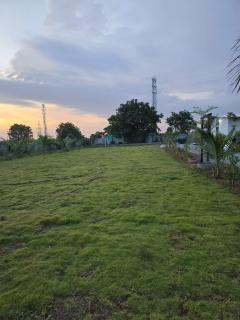 green zone farm house - 5