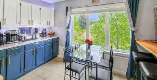 New Castles Kings N Queens 14mins to Glenwood Mountain and Lakota Views - 6