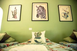 Raíces del Cielo, Oasis Holístico - Puerto Morelos - 6