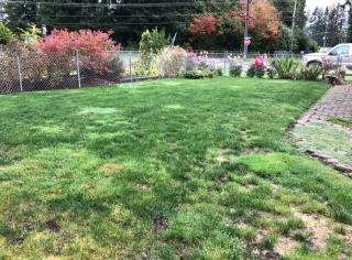 Cozy Forks getaway house - 6