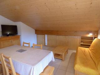 Appartement calme 30m² pour 5 près du Grand-Bornand - FR-1-458-249 - 0