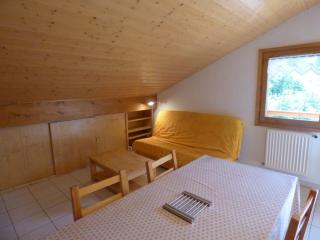 Appartement calme 30m² pour 5 près du Grand-Bornand - FR-1-458-249 - 9