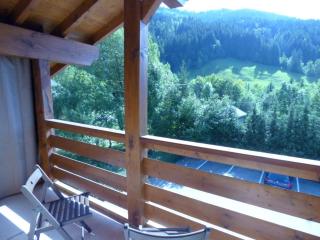 Appartement calme 30m² pour 5 près du Grand-Bornand - FR-1-458-249 - 3