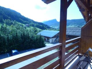 Appartement calme 30m² pour 5 près du Grand-Bornand - FR-1-458-249 - 1