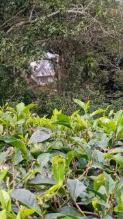 Winchester House - 2