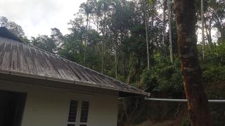 Winchester House - 1