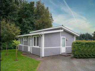 Scenic Holiday Chalet in Drenthe - 0