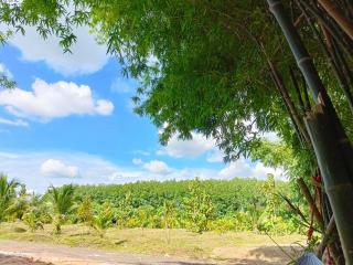 Baan Suan Thada Thai บ้านสวนธาดา ไทย - Wang Nam Yen - 3