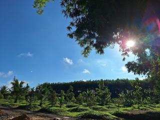 Baan Suan Thada Thai บ้านสวนธาดา ไทย - Wang Nam Yen - 4