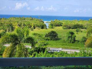 Blissful Ocean View 3B 2 and half Bath - 6
