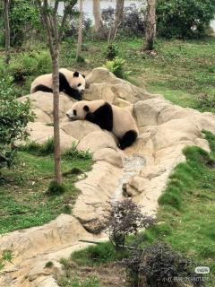 头等舱国际酒店-成都天府机场店 - 4