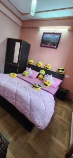 Hotel O HOME 81250D Abhiaak Regency - 4