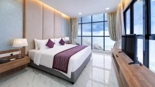 Grand Ion Delemen Premier - 8