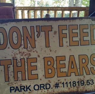 Little Bear Tiny Cabin - 1