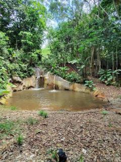 Hotel Banyan - 1