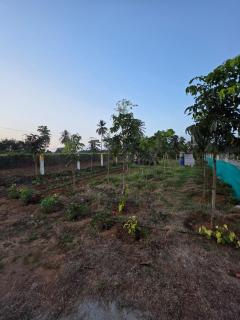 Namma Hatti, Traditional Home - 1