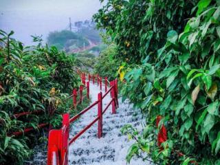 Dilani Adamspeak RiverStay - 2