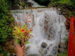 Dilani Adamspeak RiverStay - 1