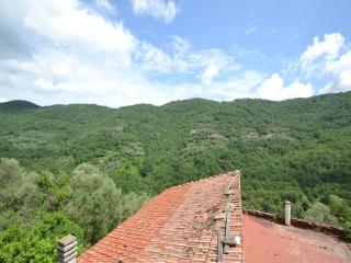 Nature Retreat in Testico - 5