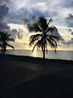 Sarie Bay Inn - San Andrés - 7