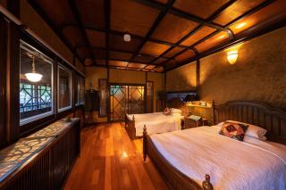 Nihon-no-Ashitaba - 4