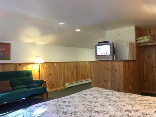 Slide Mountain Forest House - 2