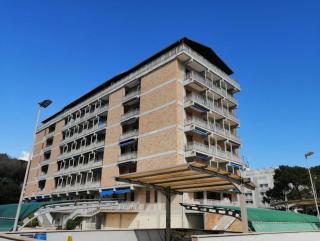 Comfortable flat a few steps from the beach - 2