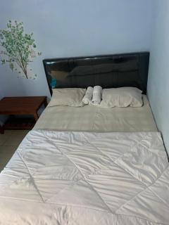 soft homestay - 2