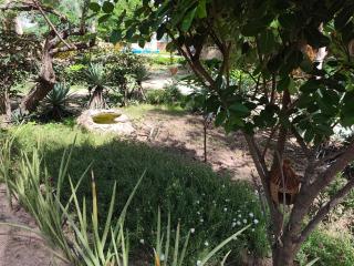 Campement Houefa - 4